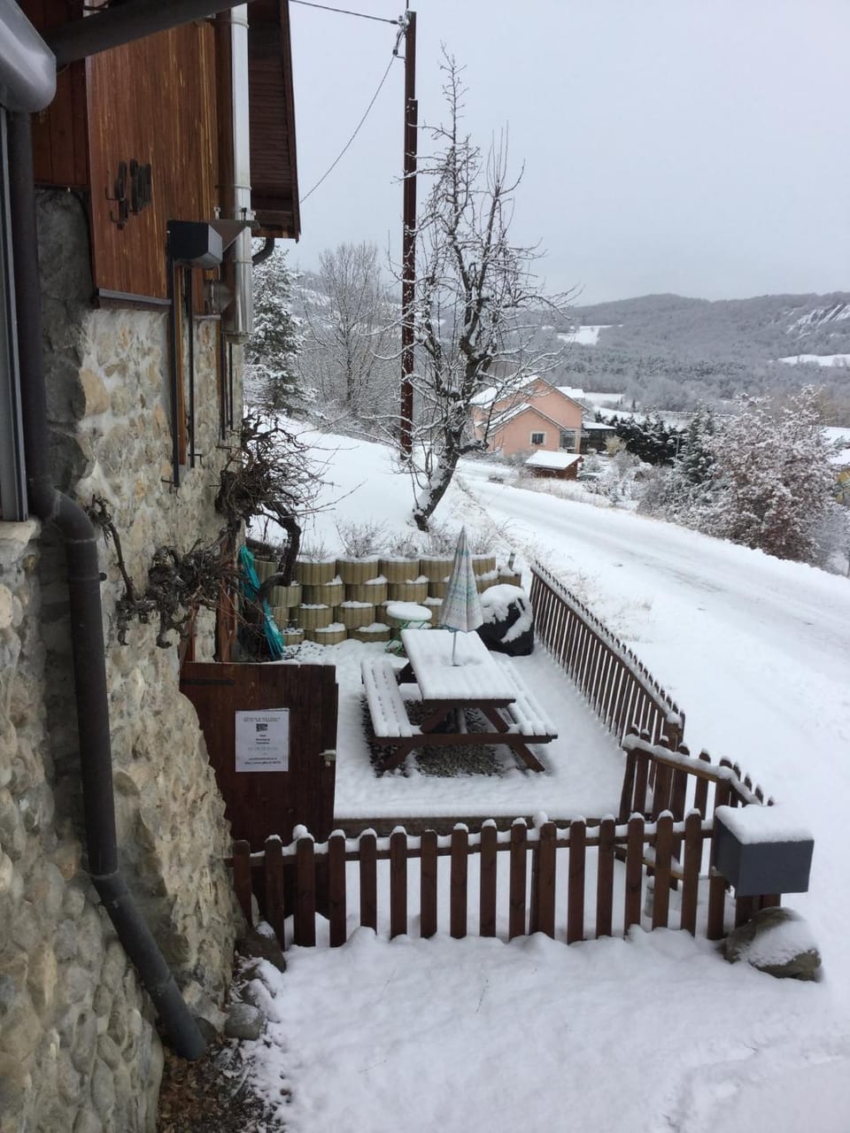 Winter