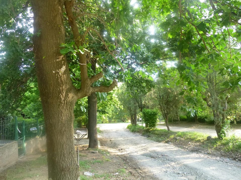 Cabanas los lirios House in Santa Rosa de Calamuchita