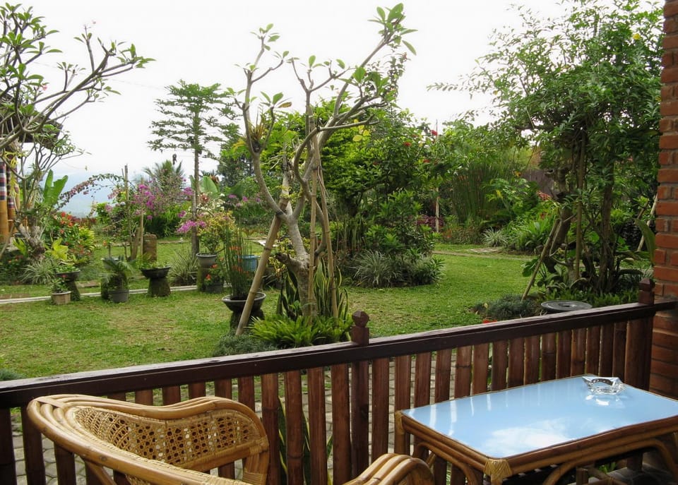 Garden, Balcony/Terrace, Garden view