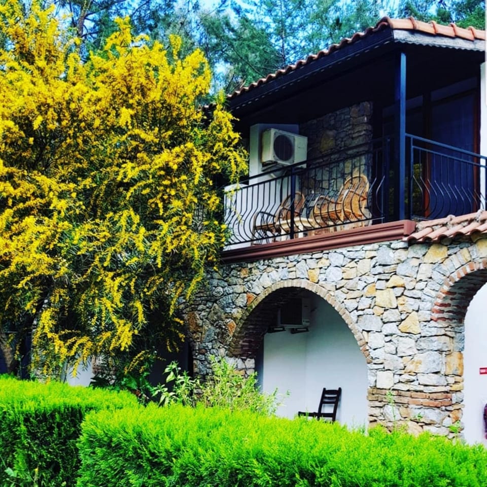Property building, Spring, Day, Garden