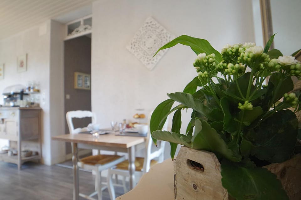 Continental breakfast