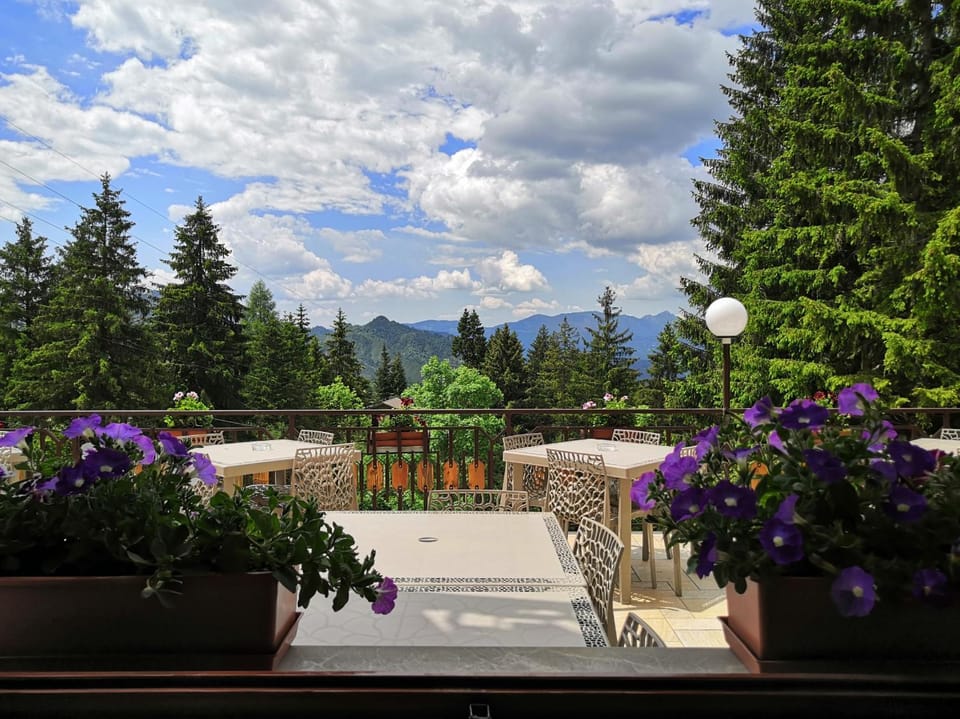 Restaurant/places to eat, Natural landscape, Balcony/Terrace, Balcony/Terrace, Lounge or bar, Mountain view