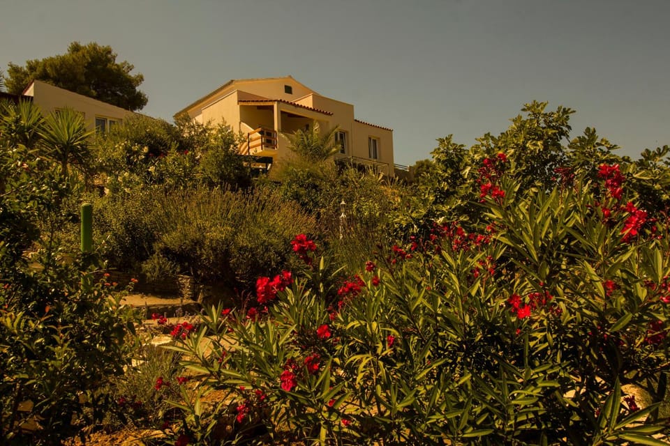 Property building, Garden