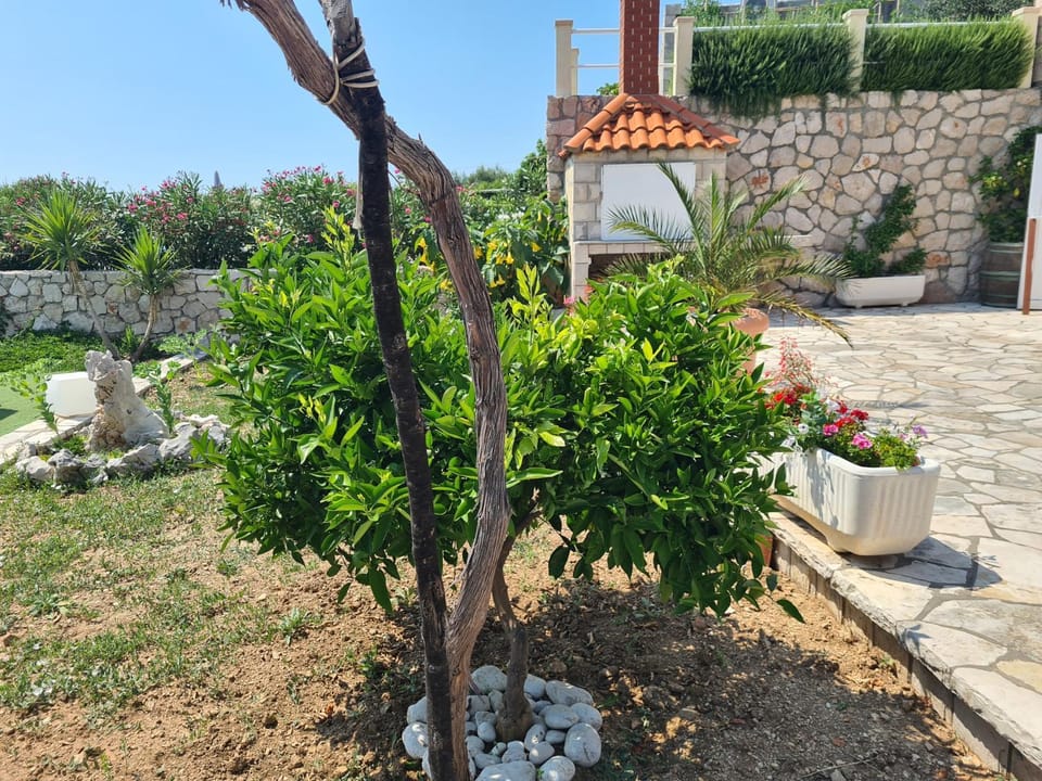 Villa sea oasis Ratac House in Dubrovnik-Neretva County