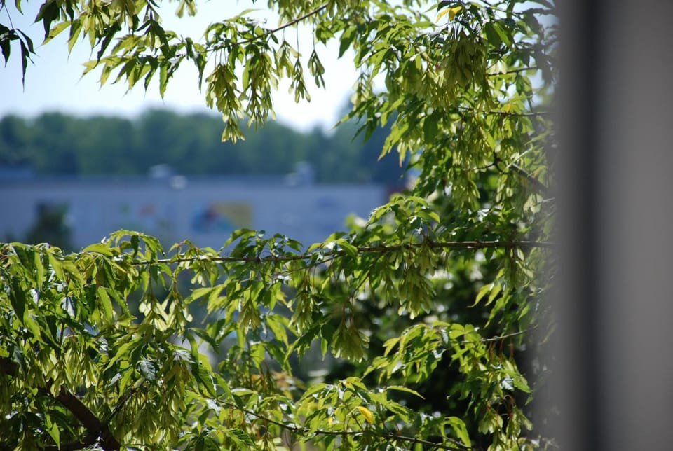 Natural landscape
