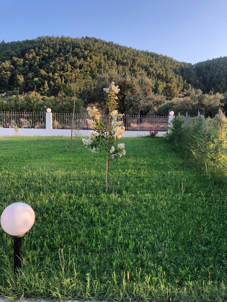 Spring, Garden, Mountain view