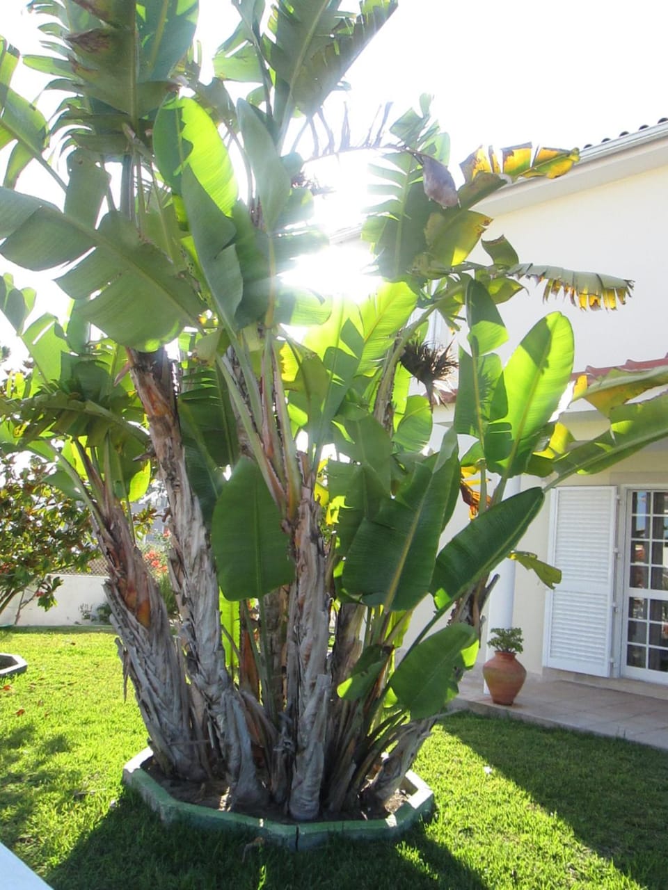 Moradia da Bananeira House in Setubal District