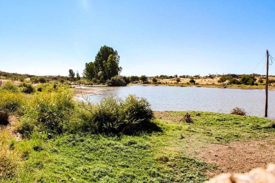 Spring, Day, Natural landscape