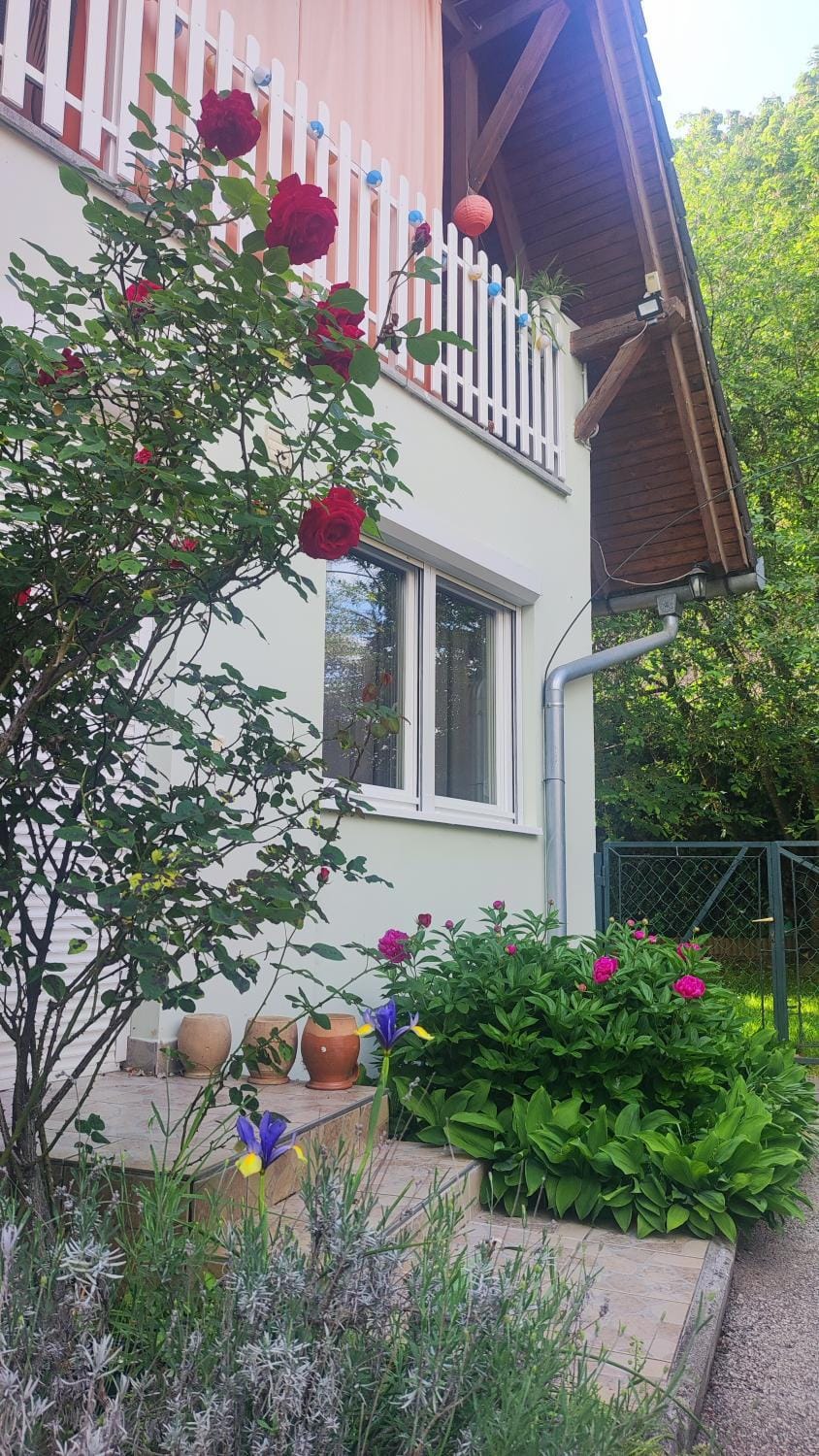 Balaton Apartman Apartment in Balatonszárszó