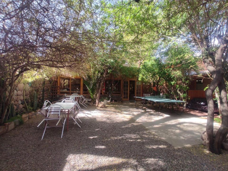 Garden, Table tennis