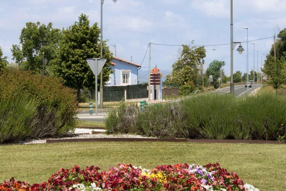 Spring, Off site, Day