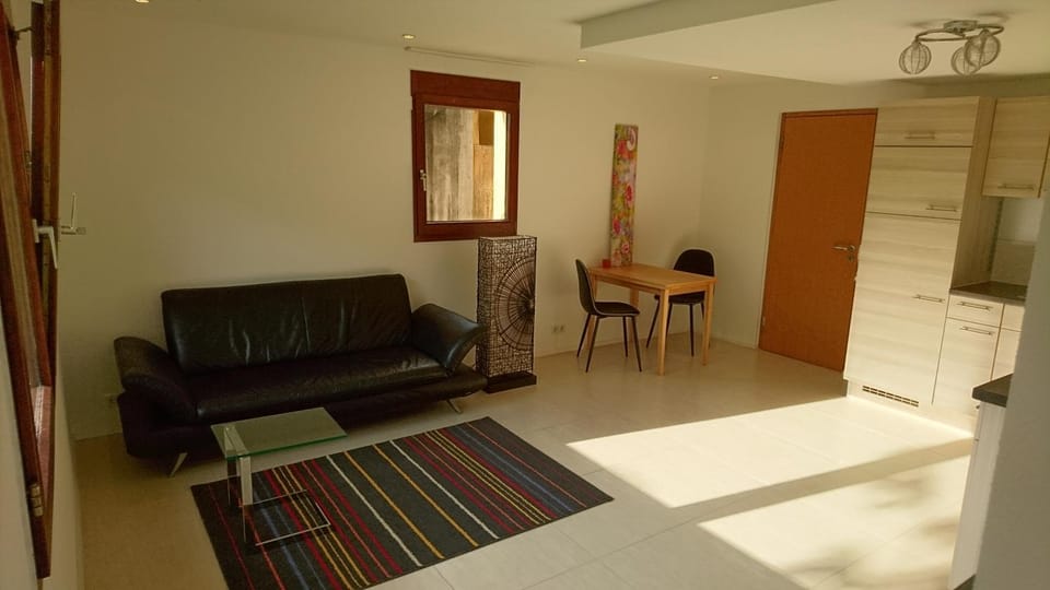 Living room, Photo of the whole room, Seating area, Dining area