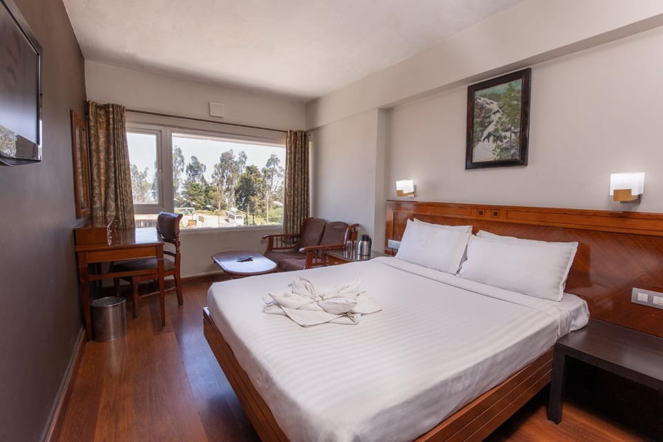 Bed, TV and multimedia, View (from property/room), Living room, Photo of the whole room, Seating area, Bedroom, City view, Mountain view, soundproof, towels