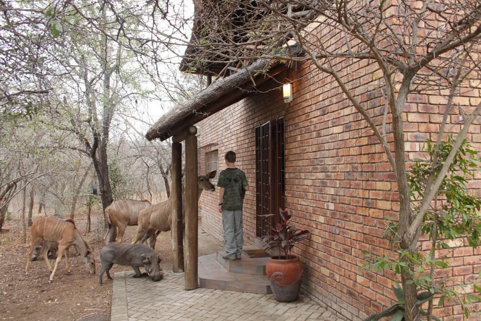Property building, Animals
