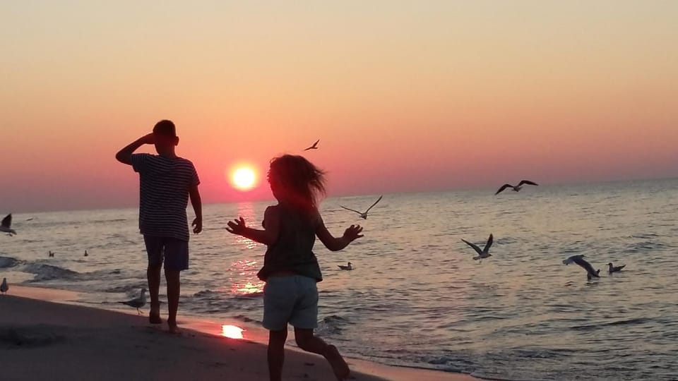 People, Beach, Sunset