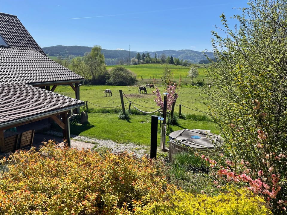 Ubytování Ranč Malenice Nature lodge in South Bohemian Region
