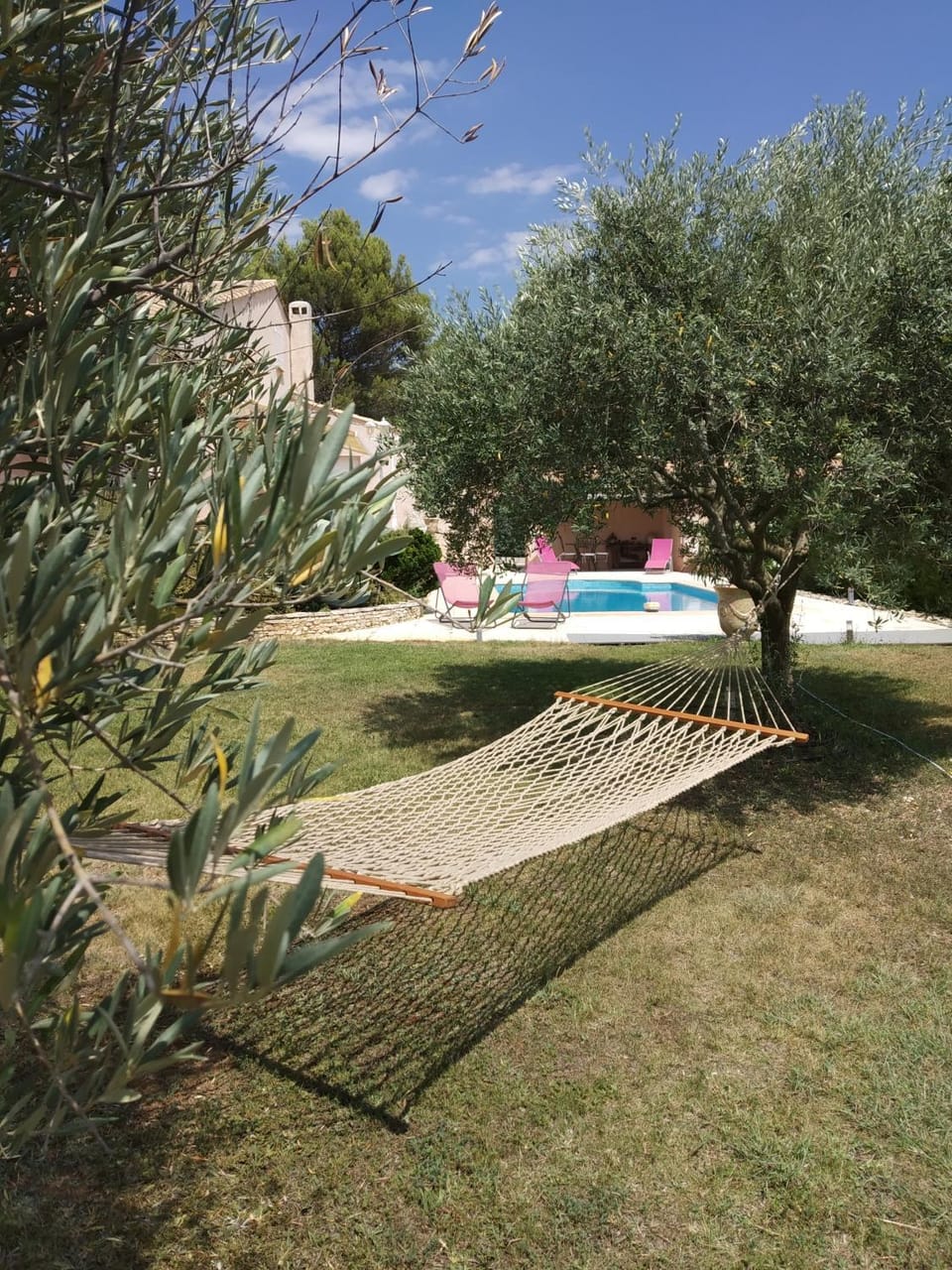 Garden, Swimming pool