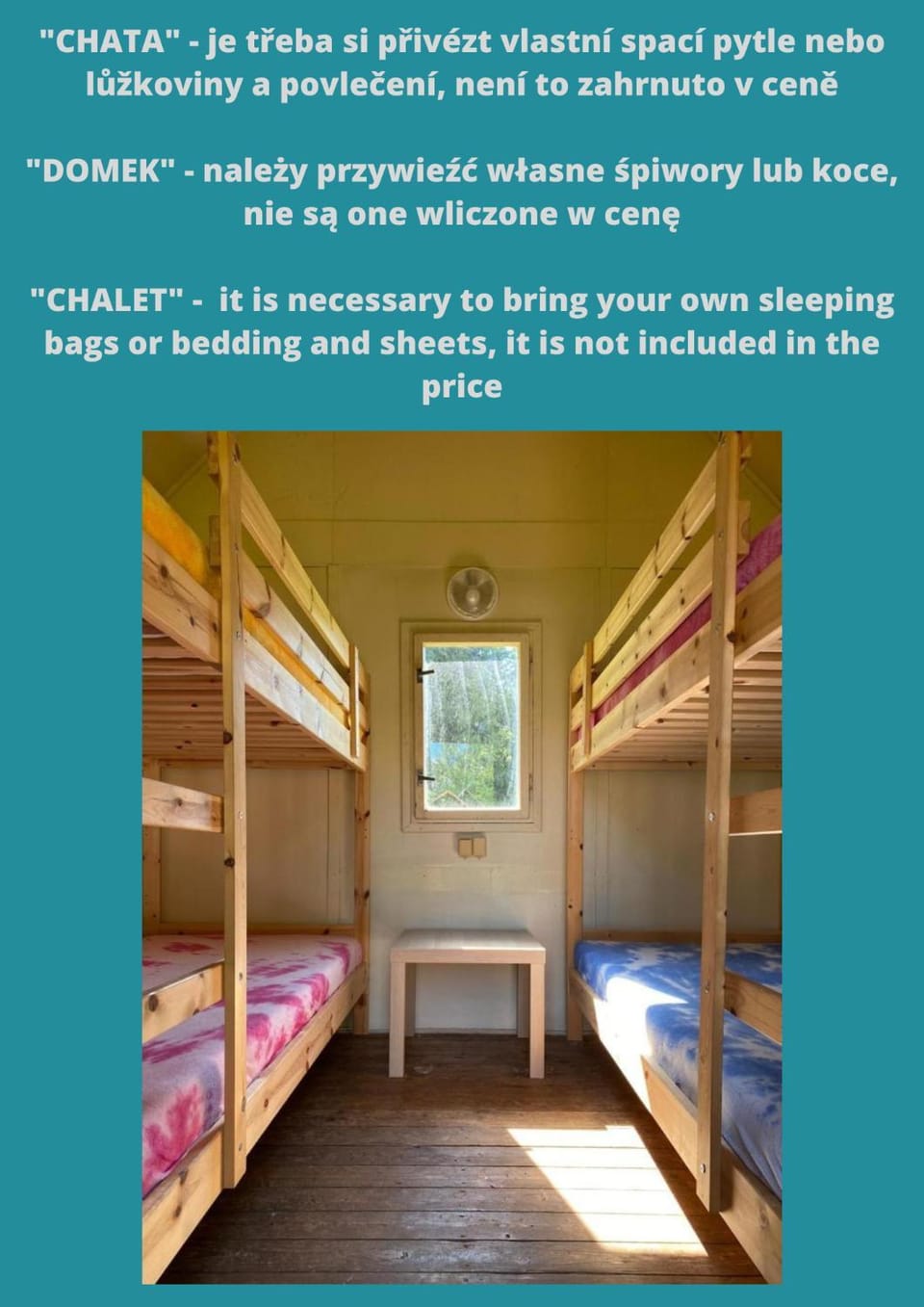 Bed, Photo of the whole room, bunk bed