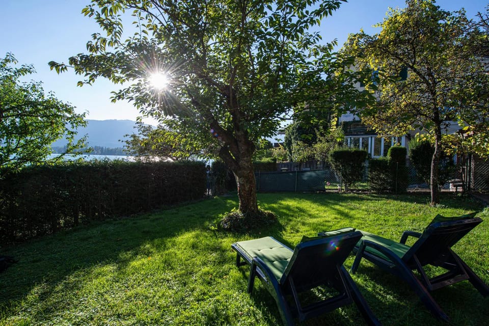 Lake view