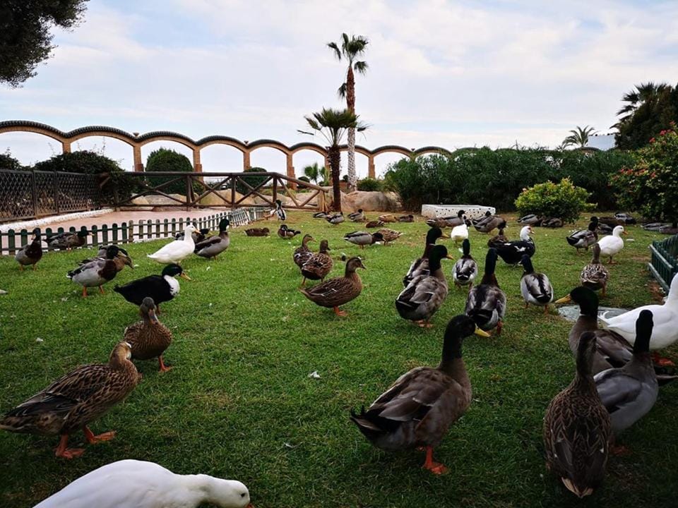 Nearby landmark, Garden