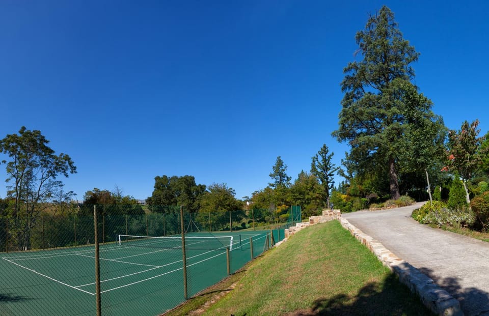 Tennis court