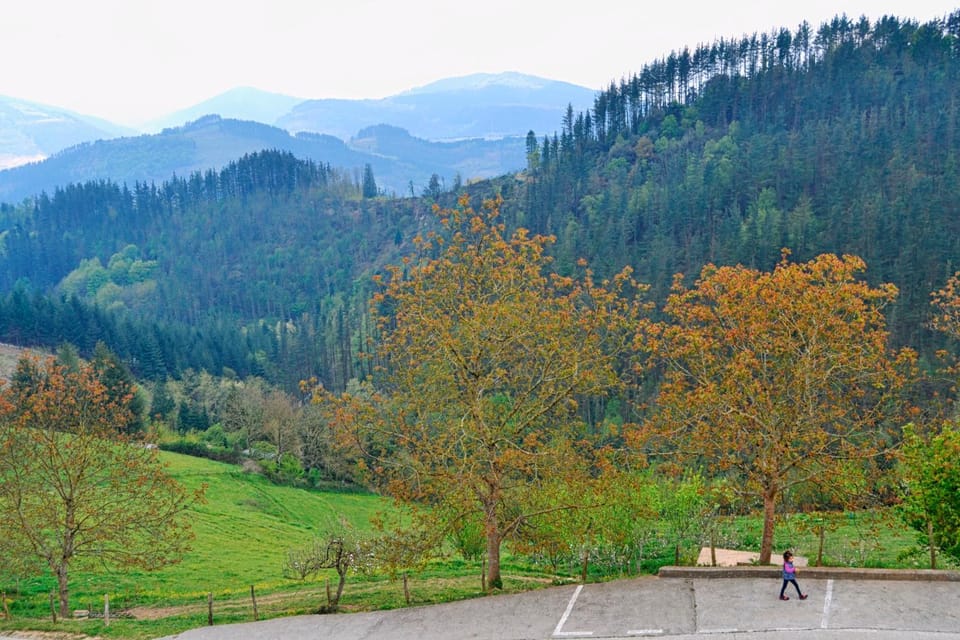 Hotel Rural Mañe Hotel in Basque Country