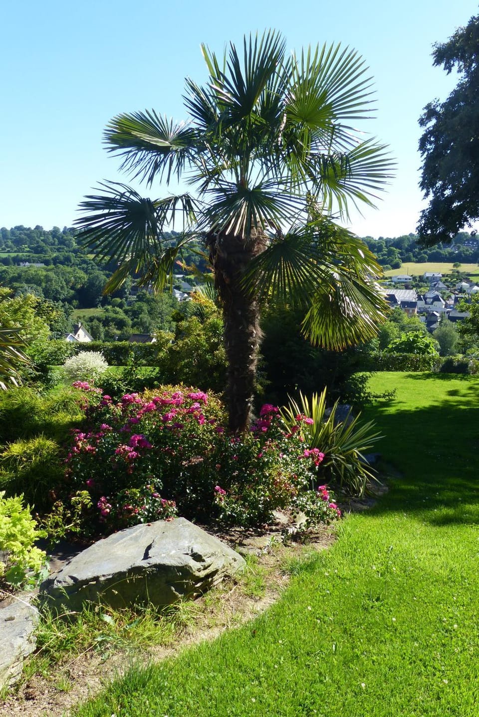 Spring, Day, Natural landscape, Garden, Garden view