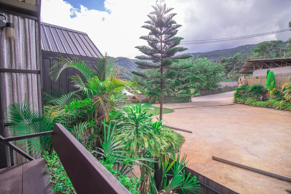 Day, Natural landscape, Garden, Mountain view