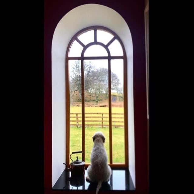 Castleview @ Newton Steading Farm House in Scotland