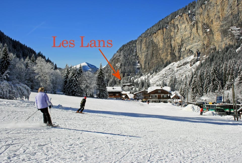 Winter, Skiing