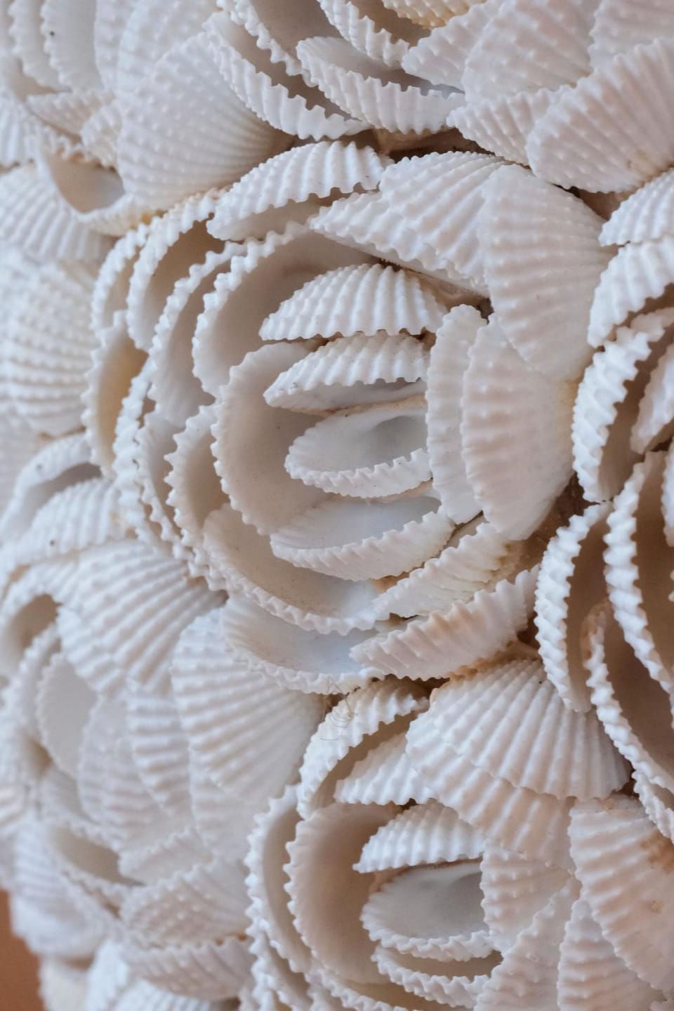 Decorative detail