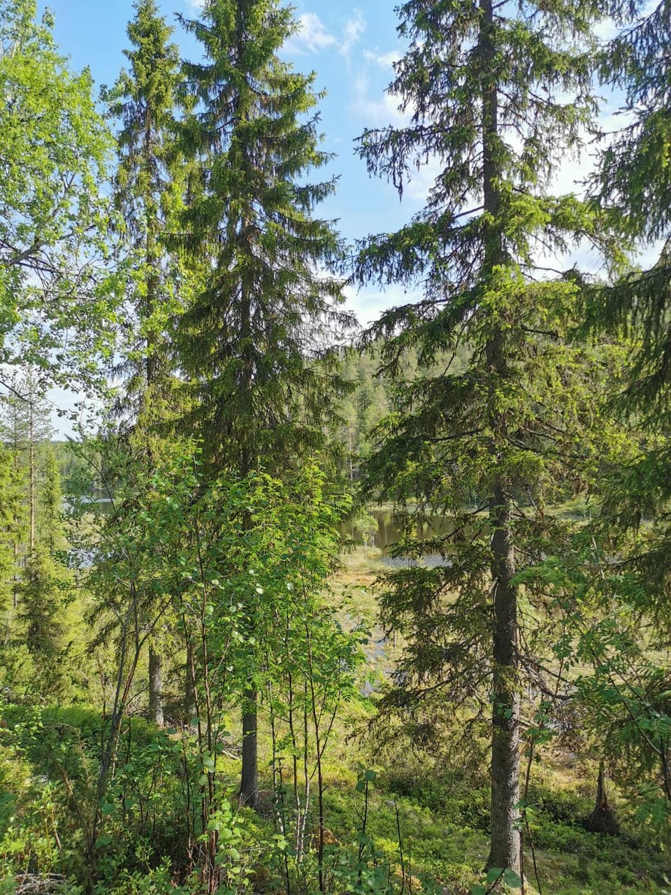 Natural landscape