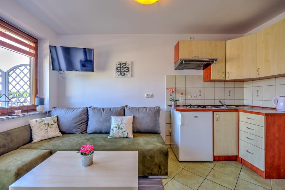 Bed, TV and multimedia, Coffee/tea facilities, Kitchen or kitchenette, Living room, Seating area, River view