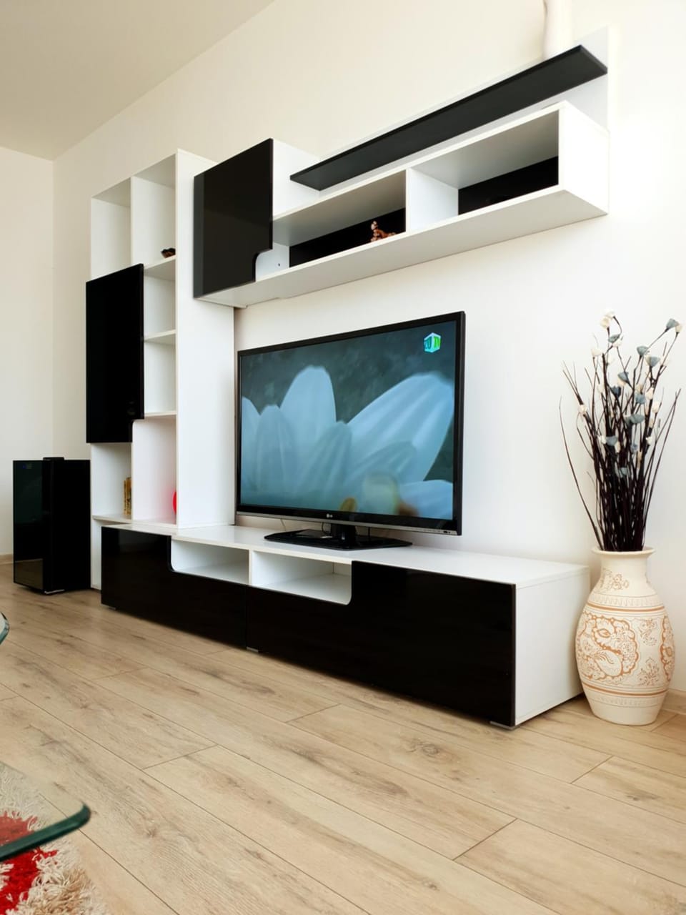 TV and multimedia