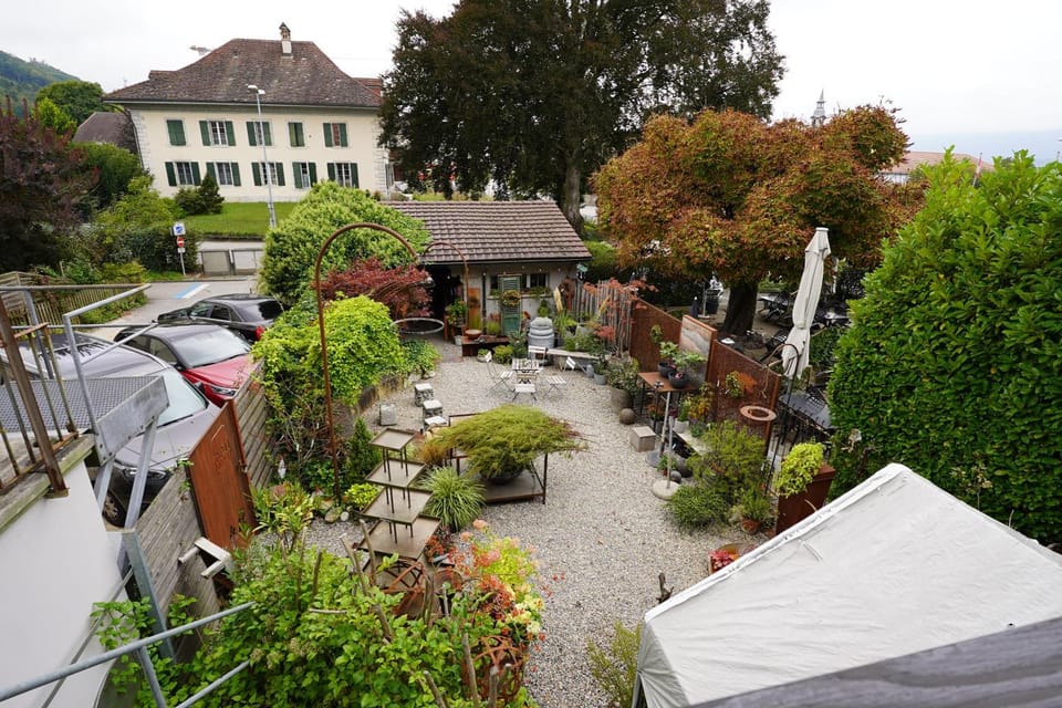 Garden view