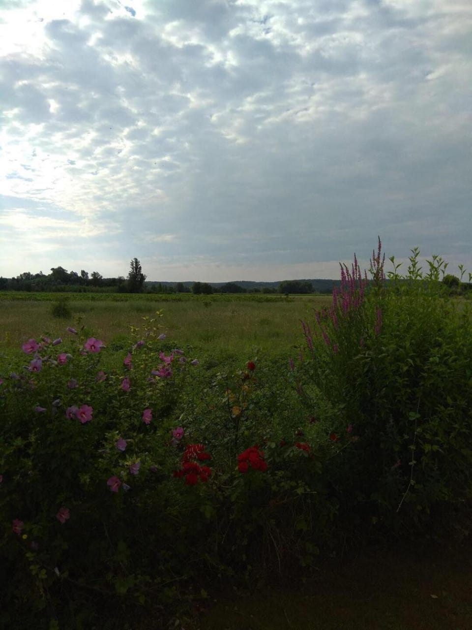 les alicantes Bed and Breakfast in Narbonne