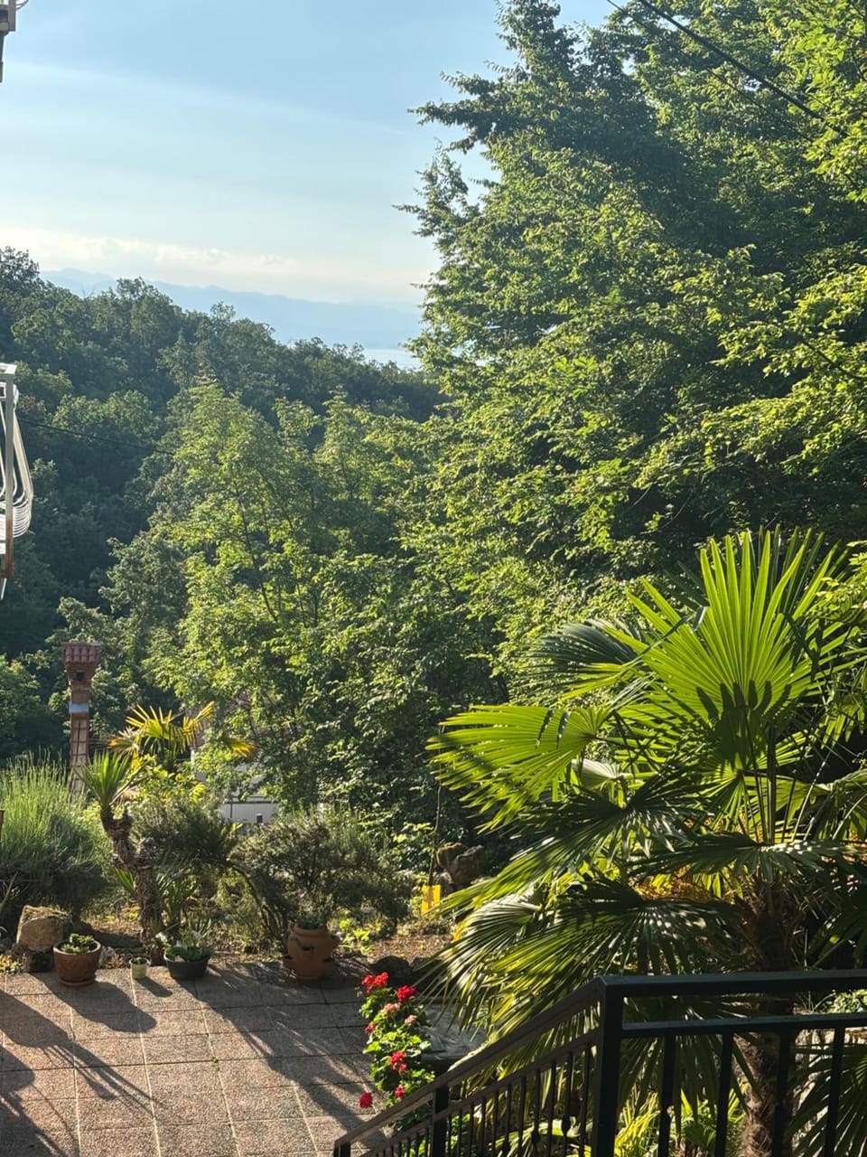 Natural landscape, Garden