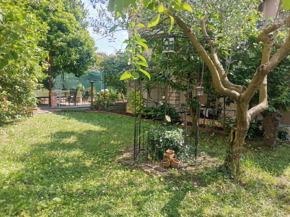 Day, Natural landscape, Garden view