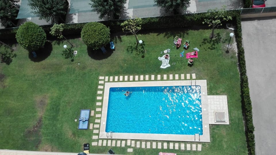 Swimming pool, Swimming pool
