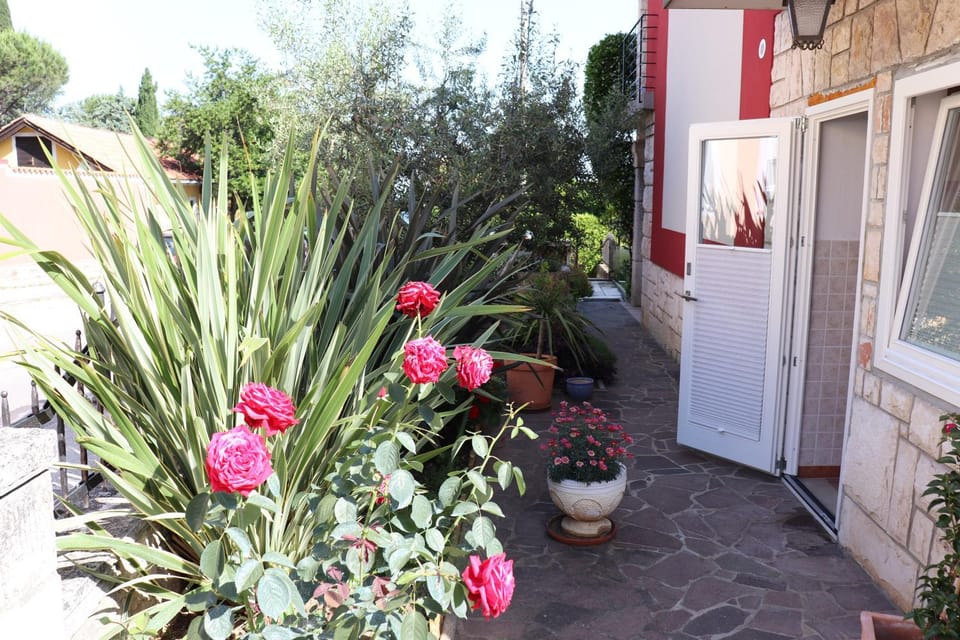 Patio, Facade/entrance, Garden