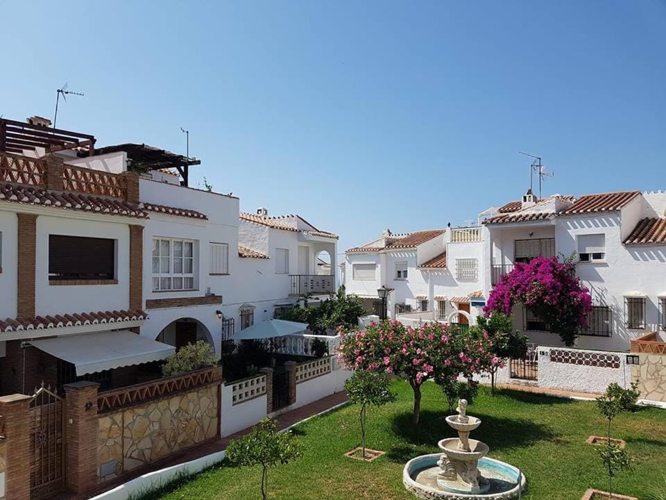 Neighbourhood, Garden view
