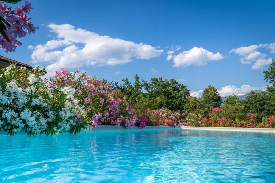 Spring, Day, Natural landscape, Garden, Garden view, Pool view