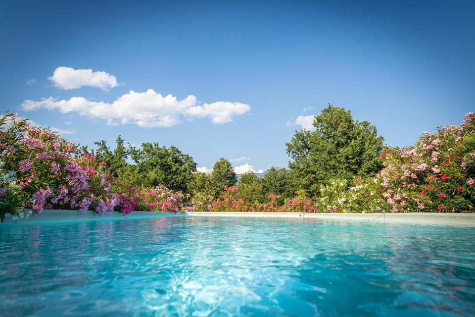 Spring, Day, Natural landscape, Garden, Garden view, Pool view, Swimming pool