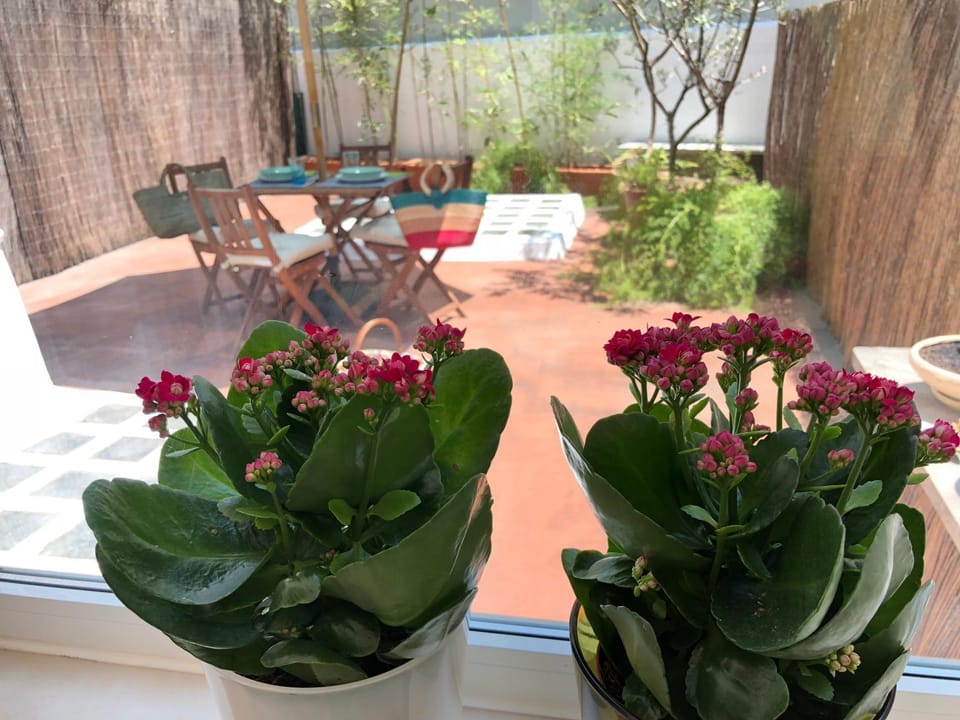 Arroios BnB Apartment in Lisbon