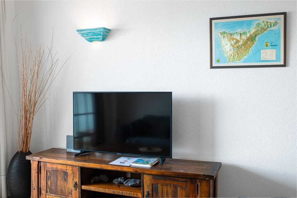 TV and multimedia