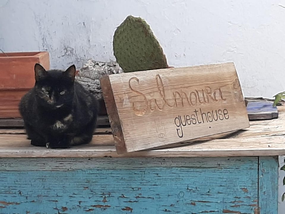 Property logo or sign, Pets