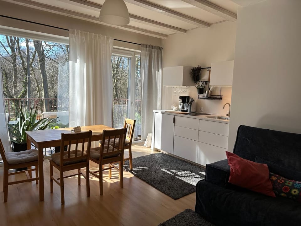Kitchen or kitchenette, Living room, Garden view