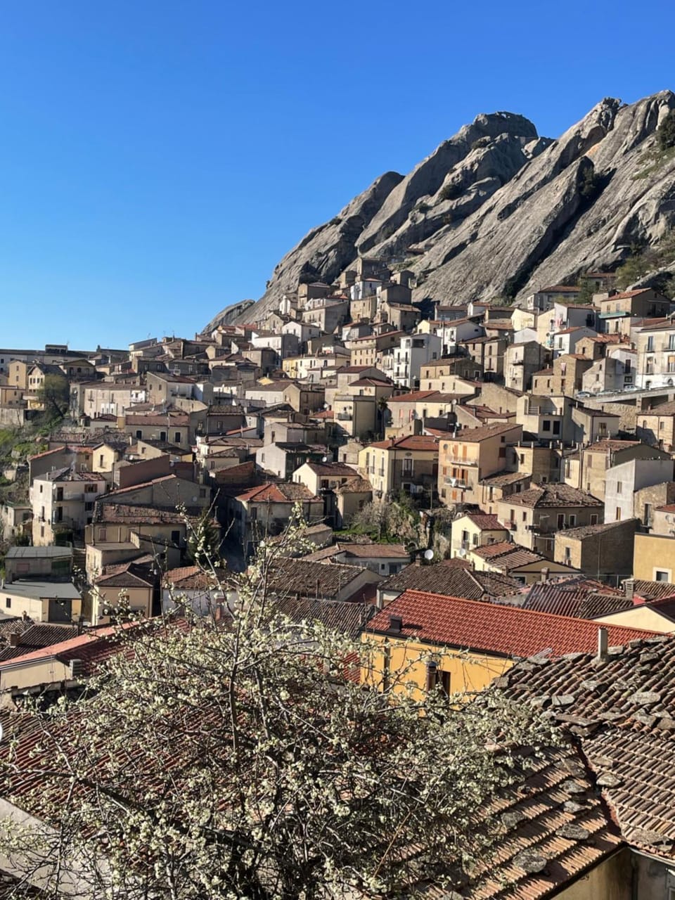 La Pietra Verde Apartment in Basilicata