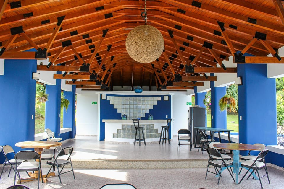 Lounge or bar