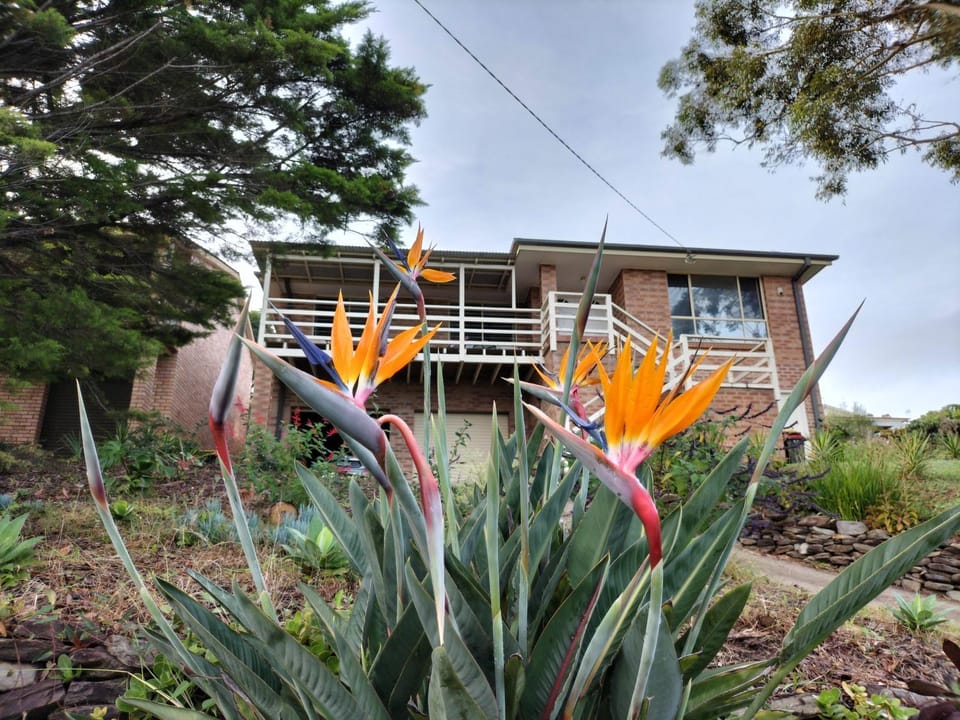 Property building, Day, Garden